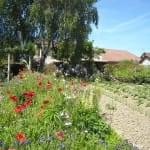 Jardin relaxant, et terrain de pétanque à disposition